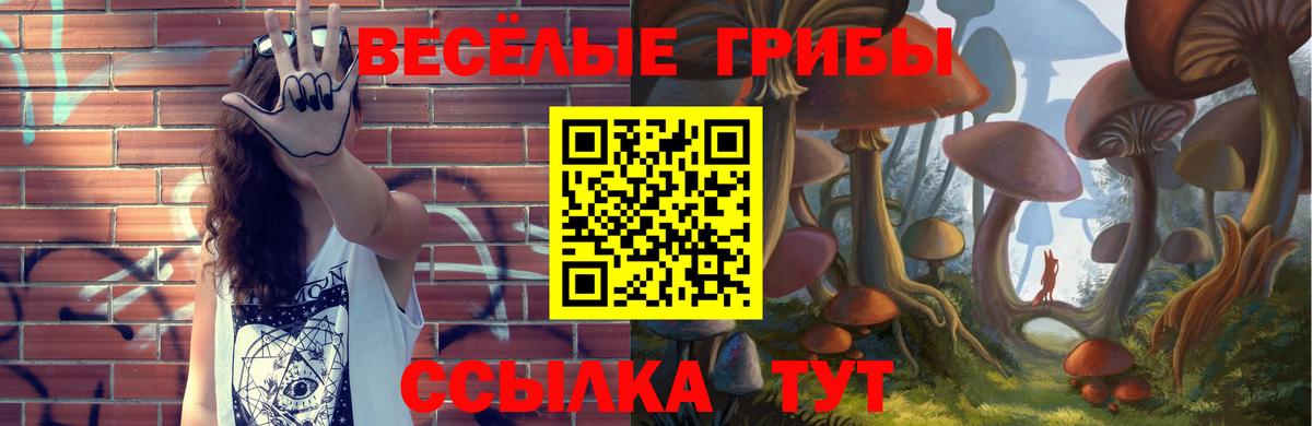 Борзя  Галлюциногенные грибы Psilocybe  Псилоцибиновые грибы Psilocybe  Вход с VPN 